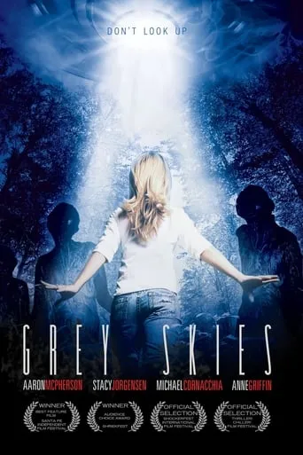Póster de Grey Skies