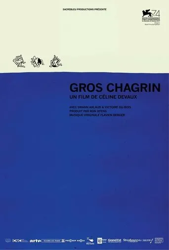 Póster de Gros chagrin