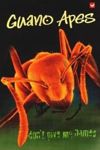 Póster de Guano Apes - Don't Give Me Names