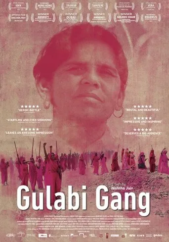 Póster de Gulabi Gang