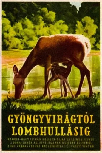 Póster de Gyöngyvirágtól lombhullásig