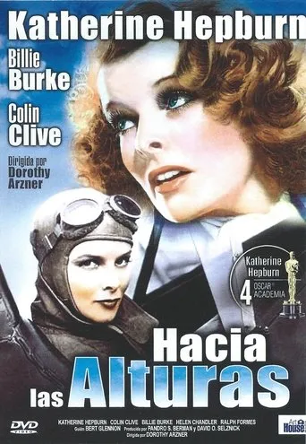 Póster de Hacia las alturas