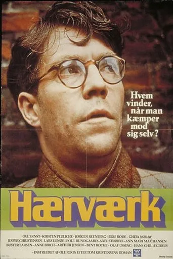 Póster de Hærværk
