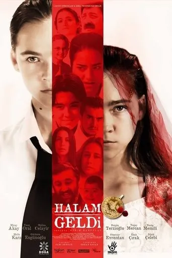 Póster de Halam Geldi