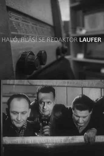 Póster de Haló, hlásí se redaktor Laufer!