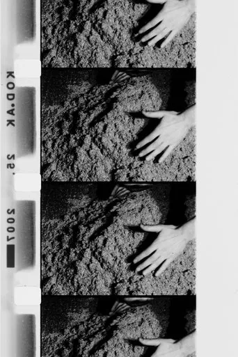 Póster de Hands Scraping