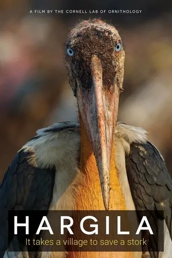 Póster de Hargila
