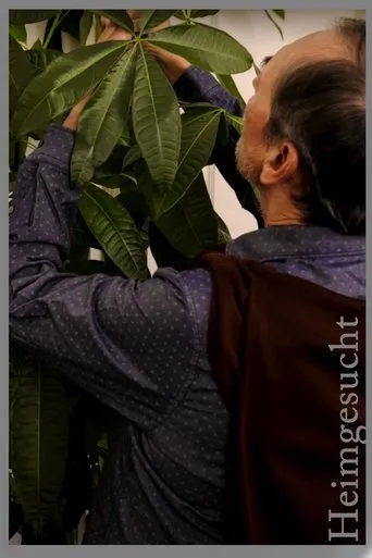 Póster de Heimgesucht