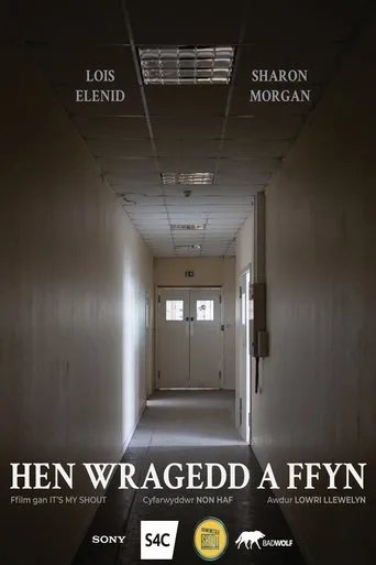 Póster de Hen Wragedd a Ffyn