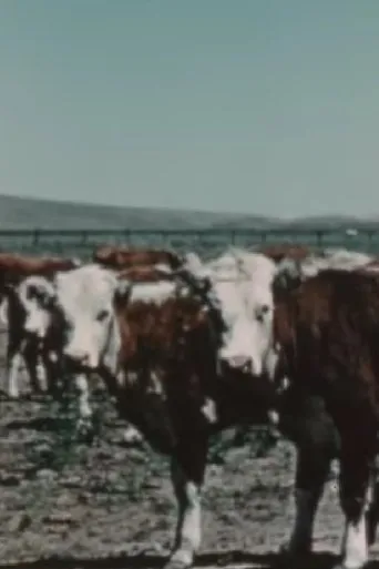 Póster de Herds West