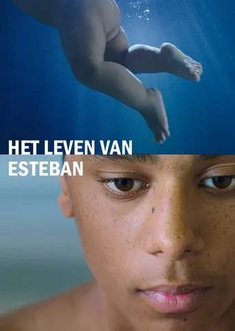 Póster de Het leven van Esteban