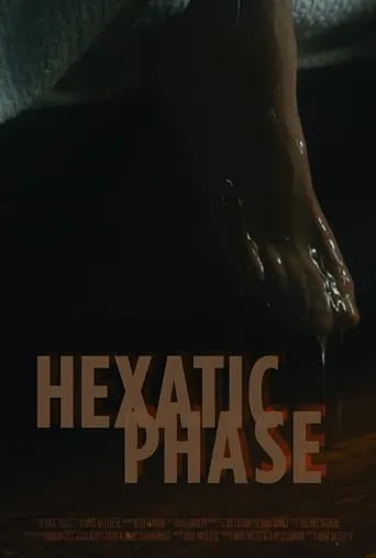 Póster de Hexatic Phase