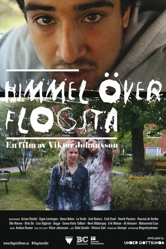 Póster de Himmel över Flogsta