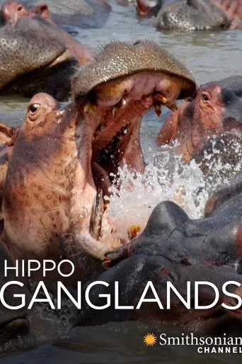 Póster de Hippo Ganglands