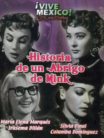 Póster de Historia de un abrigo de mink