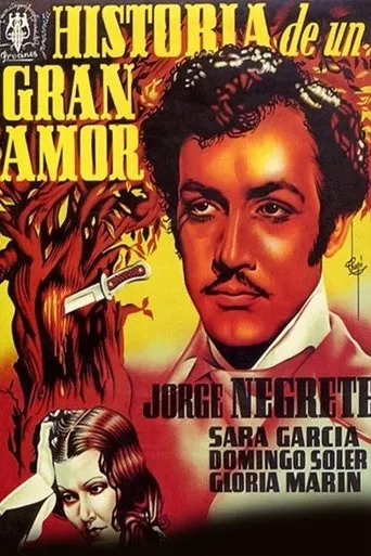 Póster de Historia de un gran amor