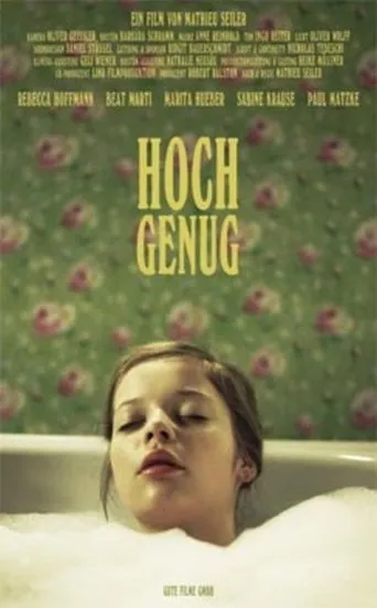 Póster de Hoch genug