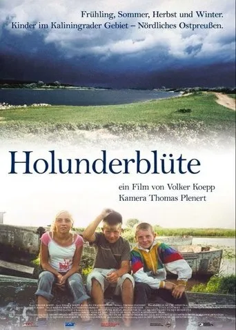 Póster de Holunderblüte