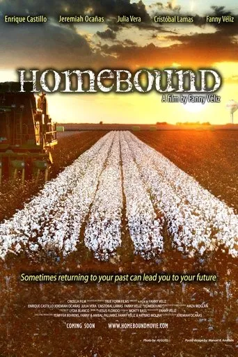 Póster de Homebound