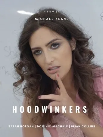 Póster de Hoodwinkers