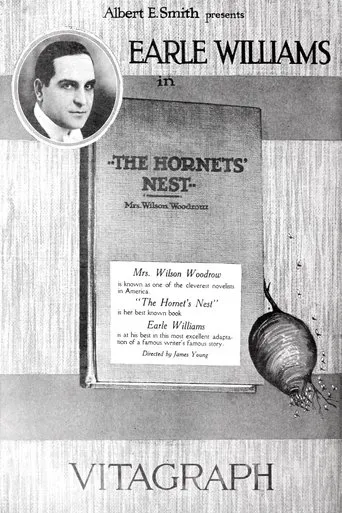 Póster de Hornet's Nest
