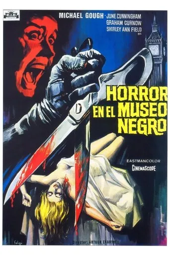 Póster de Horror en el museo negro