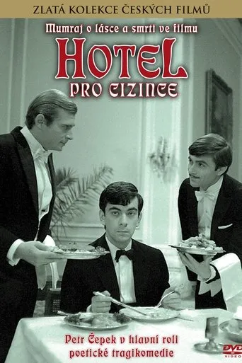 Póster de Hotel pro cizince
