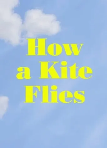 Póster de How a Kite Flies