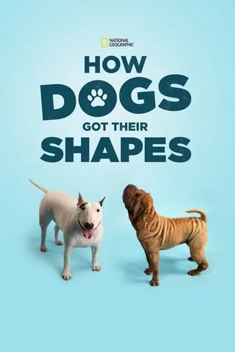 Póster de How Dogs Got Their Shapes
