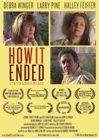 Póster de How It Ended