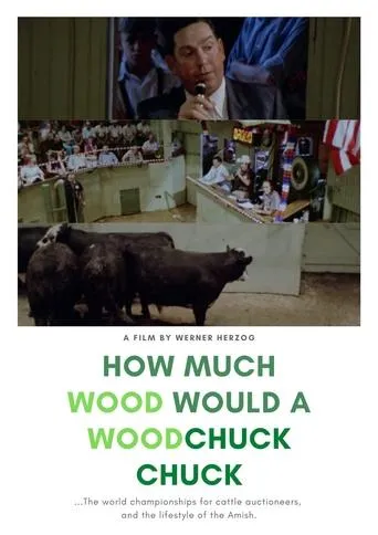 Póster de How Much Wood Would a Woodchuck Chuck: Beobachtungen zu einer neuen Sprache