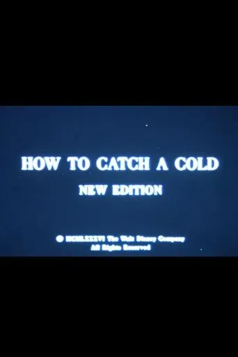 Póster de How to Catch a Cold