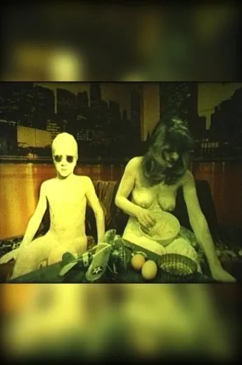 Póster de How to Make a New York Cake