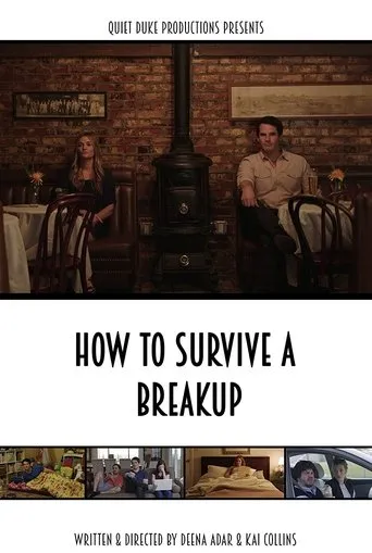 Póster de How to Survive a Breakup