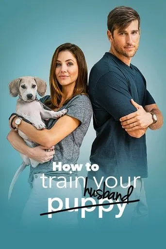 Póster de How to Train Your Husband