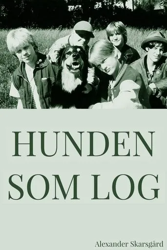 Póster de Hunden som log