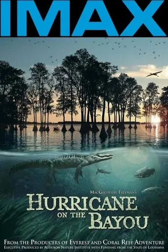 Póster de Hurricane on the Bayou