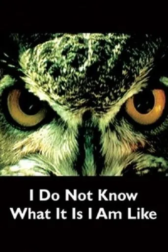 Póster de I Do Not Know What It Is I Am Like