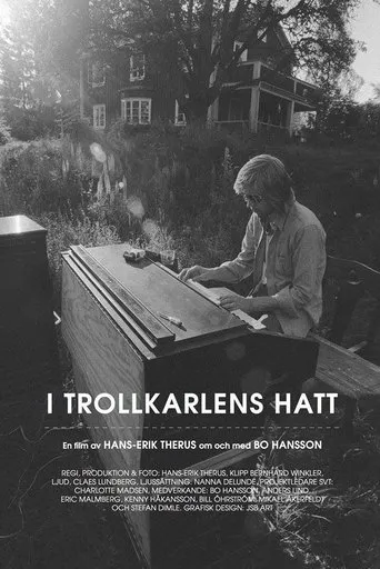 Póster de I Trollkarlens Hatt
