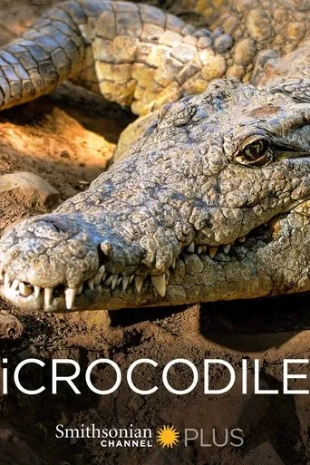 Póster de iCrocodile