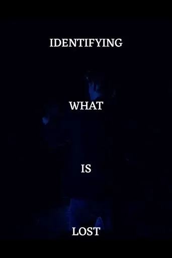 Póster de Identifying What's Lost
