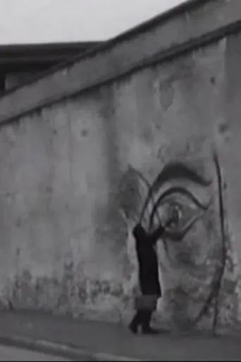 Póster de Il barbiere