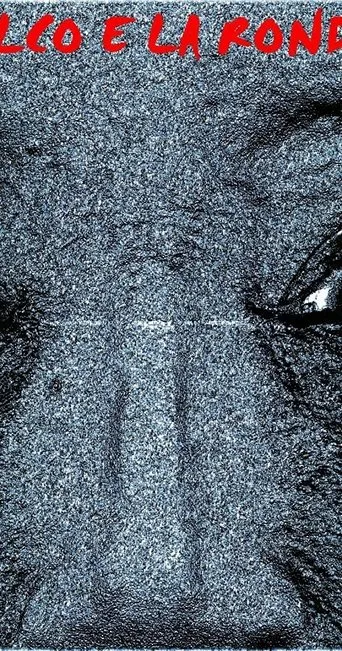 Póster de Il falco e la rondine