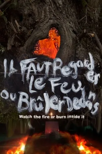 Póster de Il faut regarder le feu ou brûler dedans