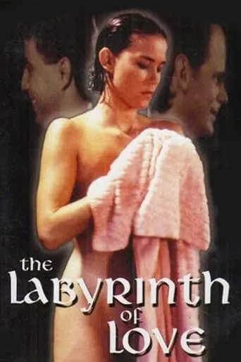 Póster de Il labirinto dei sensi