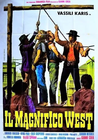 Póster de Il magnifico west