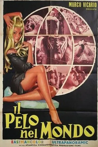 Póster de Il pelo nel mondo
