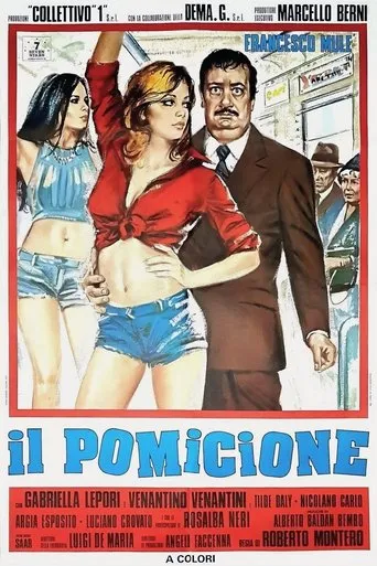 Póster de Il pomicione