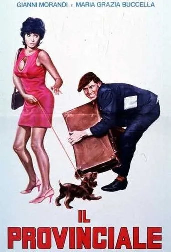 Póster de Il provinciale