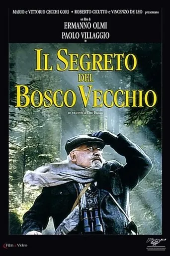 Póster de Il segreto del bosco vecchio